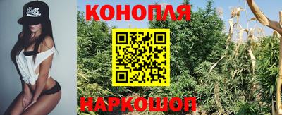 ГАЛЛЮЦИНОГЕННЫЕ ГРИБЫ Заводоуковск