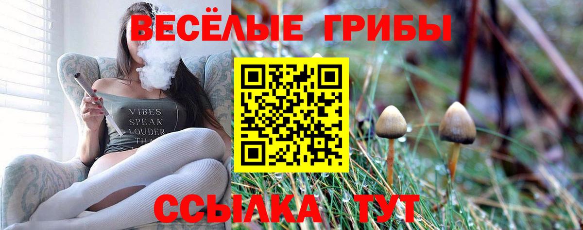 Шелехов  Псилоцибиновые грибы Cubensis  Вход с VPN  Псилоцибиновые грибы Psilocybine cubensis 